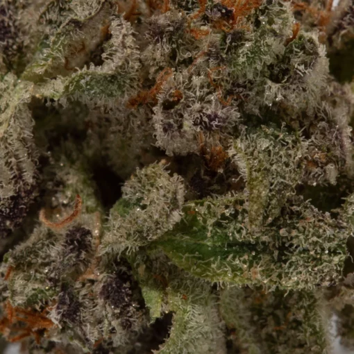 weedsmart_image_Monster Cookies (AAAA+/Popcorn)