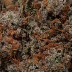 weedsmart_image_Nuken (AAAA+)