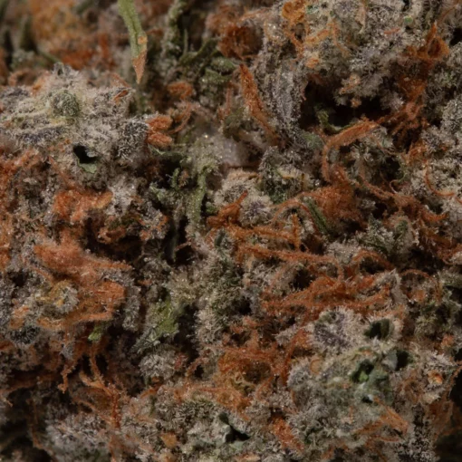 weedsmart_image_Nuken (AAAA+)