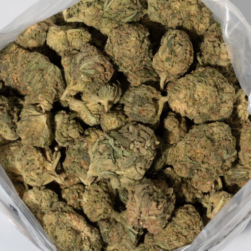 weedsmart_image_Papaya (AA)