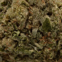 weedsmart_image_Papaya (AA)