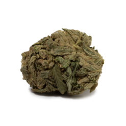 weedsmart_image_Papaya (AA)