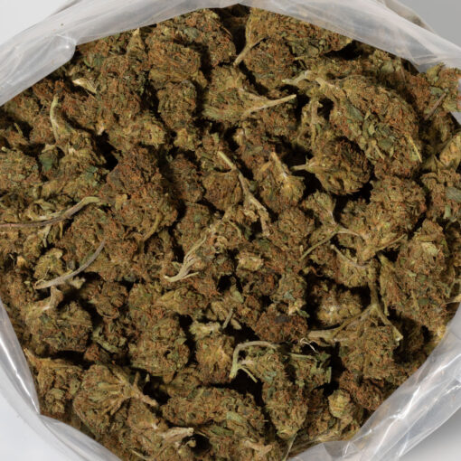 weedsmart_image_White Russian (AA)