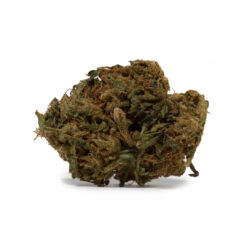 weedsmart_image_White Russian (AA)