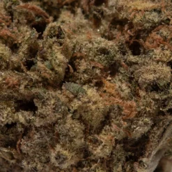 weedsmart_image_Biscotti (AAA)