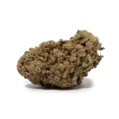 weedsmart_image_Biscotti (AAA)