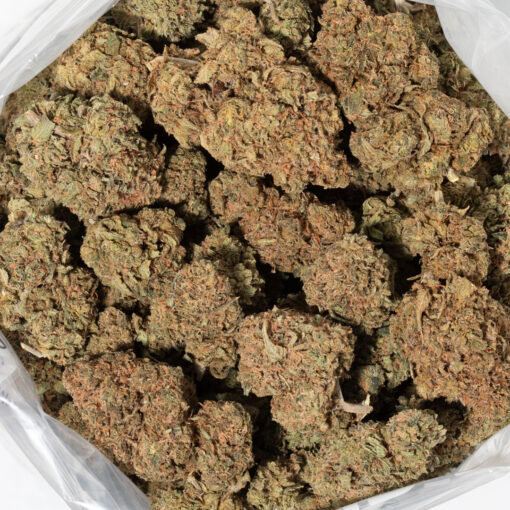 weedsmart_image_Peach Ringz (AA+)
