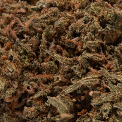 weedsmart_image_Peach Ringz (AA+)