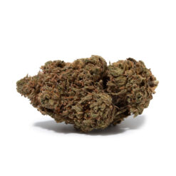 weedsmart_image_Peach Ringz (AA+)