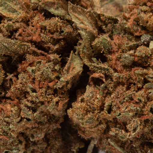 weedsmart_image_Blue Cheese (AA)