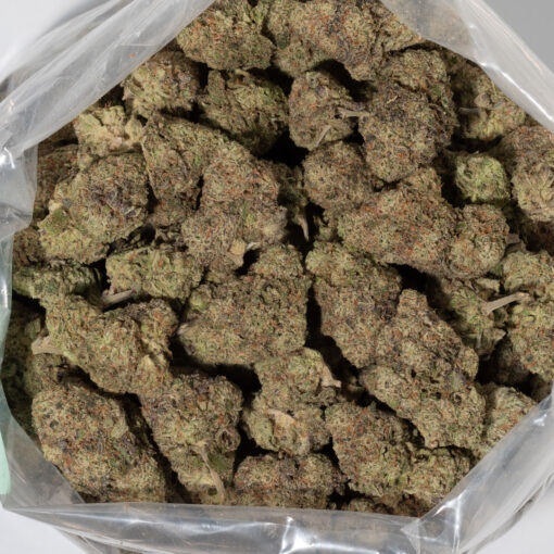 weedsmart_image_Mataro Blue (AAAAA/Craft)
