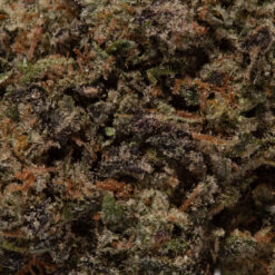 weedsmart_image_Mataro Blue (AAAAA/Craft)
