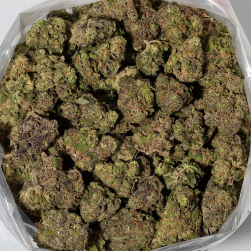 weedsmart_image_Ice Cream Cake (AAA+)