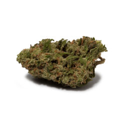 weedsmart_image_Ice Cream Cake (AAA+)