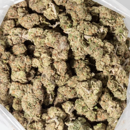 weedsmart_image_Purple Haze (AAAA+)