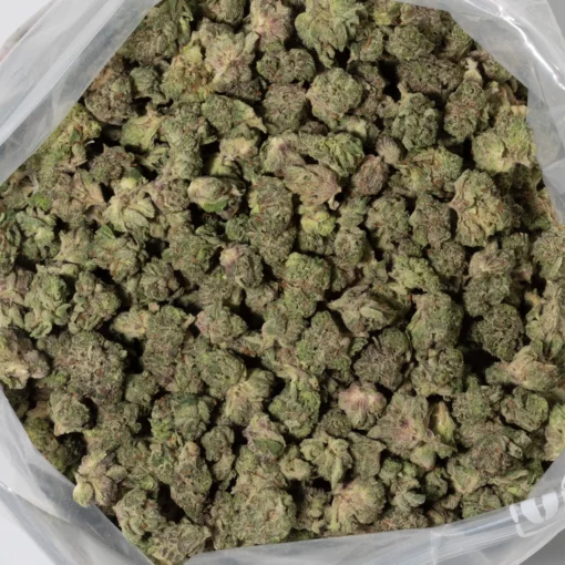 weedsmart_image_Blue Dream (AAAA/Popcorn)