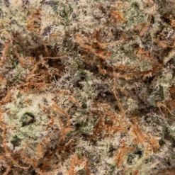 weedsmart_image_Mac #10 (AAAAA/Craft)