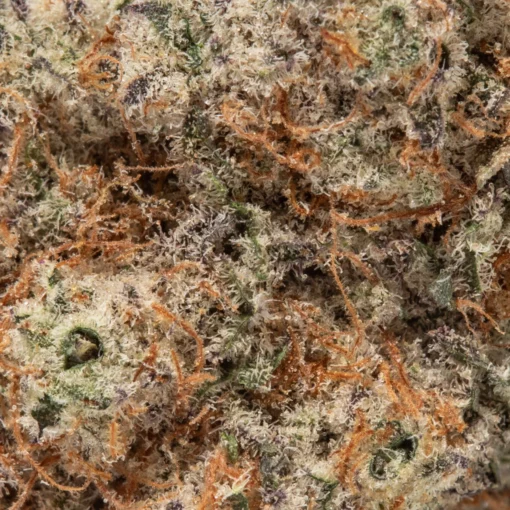 weedsmart_image_Mac #10 (AAAAA/Craft)