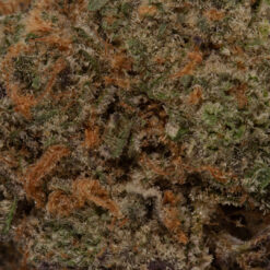 weedsmart_image_Forbidden Fruit (AAAA)
