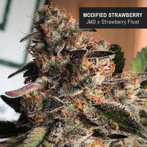 weedsmart_image_Modified Berry