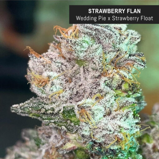 weedsmart_image_Strawberry Flan