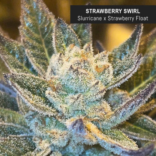 weedsmart_image_Strawberry Swirl