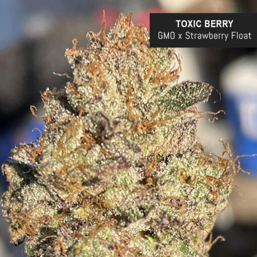 weedsmart_image_Toxic Berry