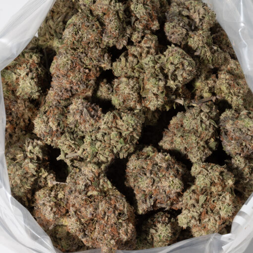 weedsmart_image_Mike Tyson (AAAA+)