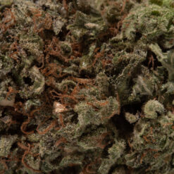 weedsmart_image_Mike Tyson (AAAA+)