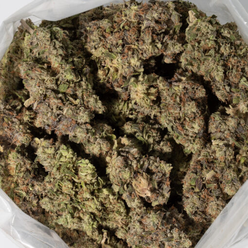 weedsmart_image_Platinum Kush (AAA+)
