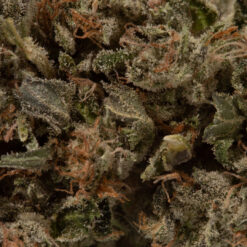 weedsmart_image_Platinum Kush (AAA+)