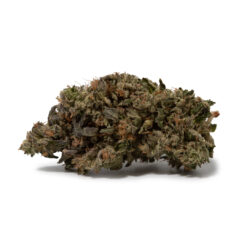 weedsmart_image_Platinum Kush (AAA+)