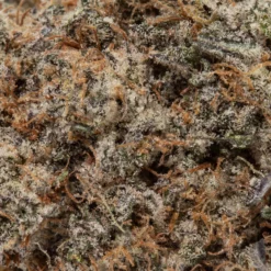 weedsmart_image_London Pound Cake (AAAA+)