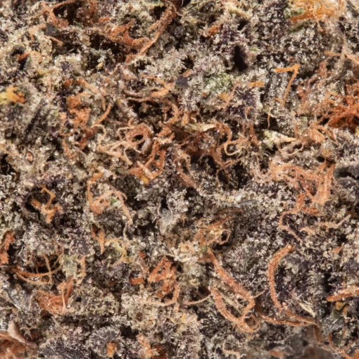 weedsmart_image_Grape Cream Cake (AAAA+)