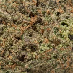 weedsmart_image_Purple Panty Dropper (AAA)