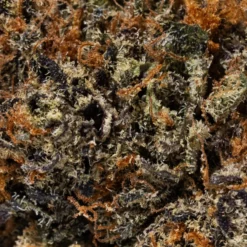 weedsmart_image_El Jefe (AA)