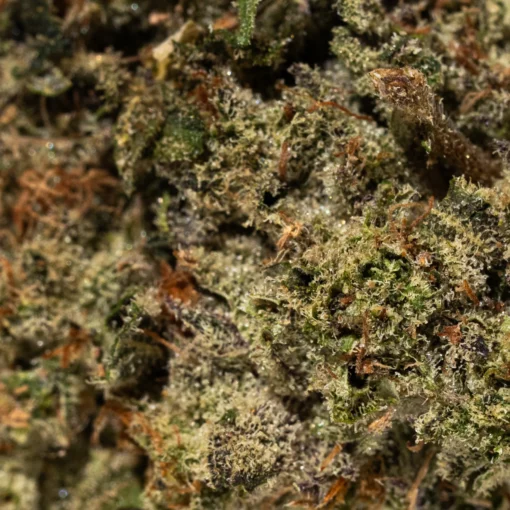 weedsmart_image_Glitter Bomb (AAAA+)
