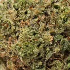 weedsmart_image_Kraken (AAAA+)