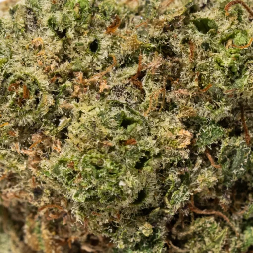 weedsmart_image_Kraken (AAAA+)