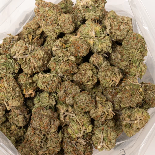 weedsmart_image_Orange Kush (AA)
