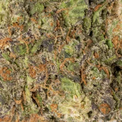 weedsmart_image_Grape Gelato (AAAA)