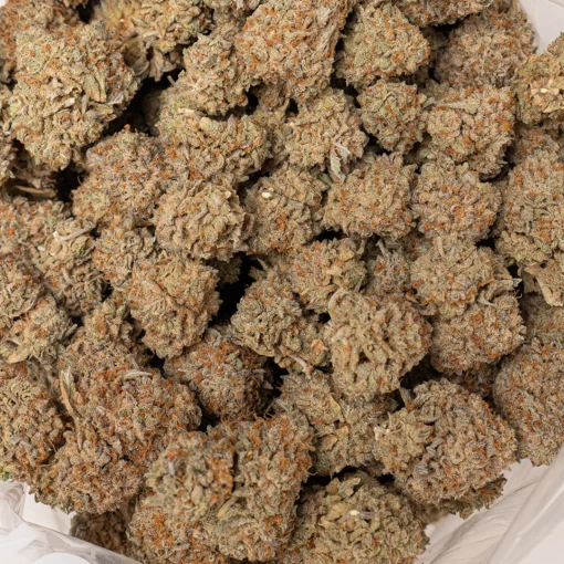 weedsmart_image_Yoda OG (AA+)