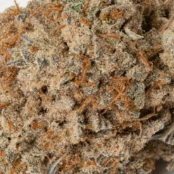 weedsmart_image_Yoda OG (AA+)