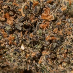 weedsmart_image_Green Crack (AA+)