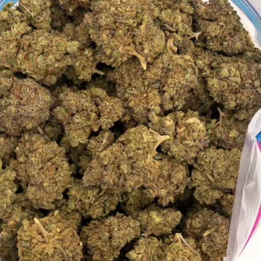 weedsmart_image_Purple Punch (AA)