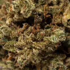 weedsmart_image_Purple Punch (AA)