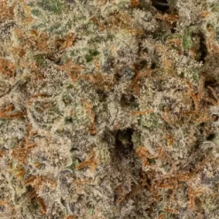 weedsmart_image_Sweet Tooth (AAAA+)