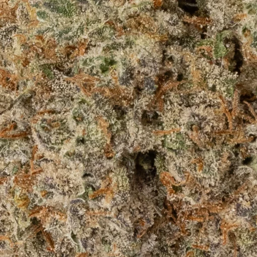 weedsmart_image_Sweet Tooth (AAAA+)