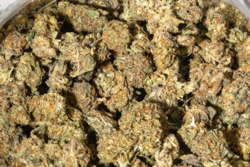 weedsmart_image_G13 (AA)