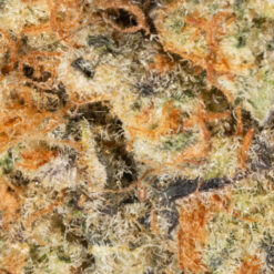 weedsmart_image_G13 (AA)